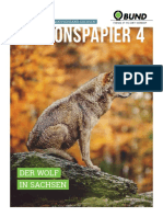 2020 Wolf Positionspapier Inhalte Klein