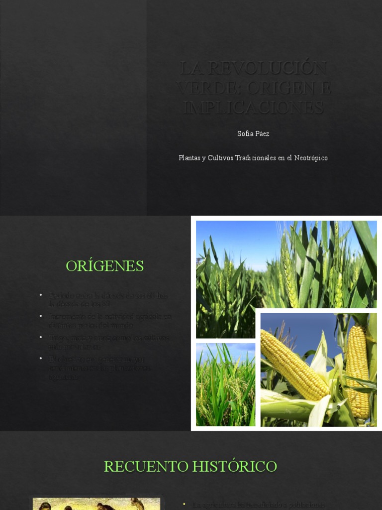 La Revolución Verde PDF Agricultura Revolución verde