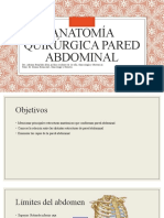 Anatomía Quirúrgica Pared Abdominal