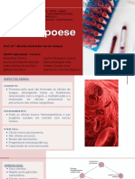 FSP P4M1 (Grupo SapereAude) Hematopoese I 2022-1