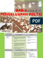 BAB 2 - PDP POLTRI