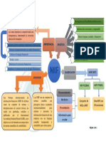 Niif Organizador Gráfico