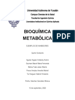 Ejemplo de Inhibidores-1