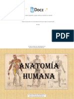 Historia e Introduccion A La Anatomia Humana Mapa Conceptual PDF 192846 Downloable 1345468
