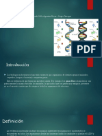 Evidencia Molecular