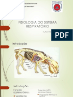 Aula 3 - Fisiologia Respiratória