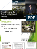 Frog Skin and Its Potential in Wound Healing SBC 291222
