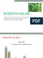 Budidaya Nilam