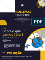 Problemas Brasileiros: Poluição, Falta de Moradia e Violência