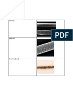 Experiment of Human Hair
