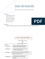 Psicologia Del Desarrollo Mapa