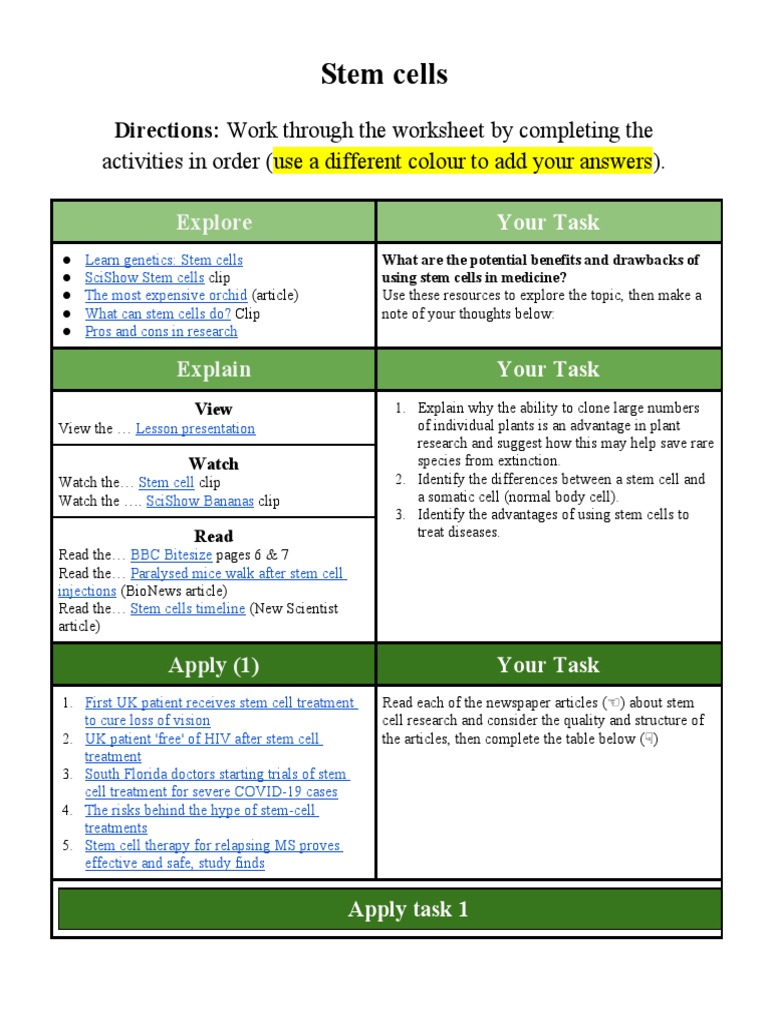 Stem Cells Worksheet of 24601 PDF Cell Potency Stem Cell