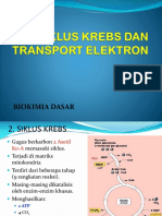 Biokimia Siklus Krebs Dan Transport Elektron