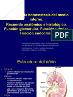 Recuerdo Funcional Filtracion y Fena 2010 Resumido