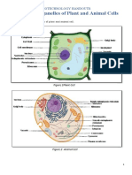 Plant & Animal Cell Structures: A Visual Guide