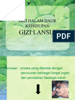 GIZI LANSIA