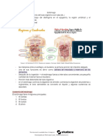 Sistema Digestivo Anatomia y Fisiologia Del Estoma - 230105 - 070430 - 074105