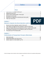 Guia de Utilização de Gruas