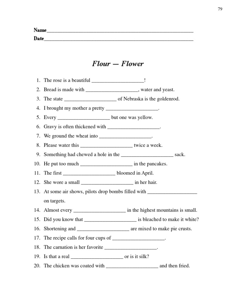 HomophonesFlour, Flower PDF