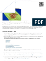 Detenga Las Garrapatas - Division of Vector-Borne Diseases - NCEZID - CDC