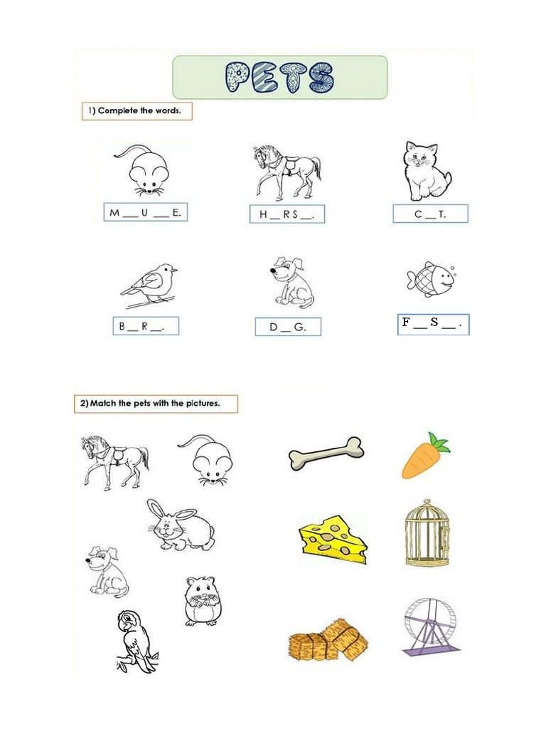 Pets Worksheet 1 | PDF