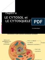 CH3 - Cytosol-Cytosquelette_B.B