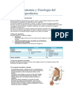 Anatomía y fisiología del aparato reproductor