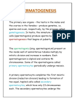 Spermatogenesis Practical File For Clas 12TH