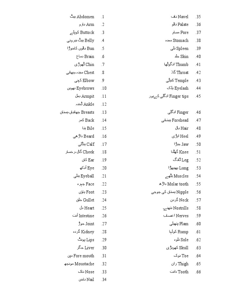 Body Parts Name in Urdu PDF