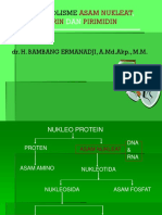 10-Purin Dan Pirimidin