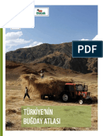 Turkiye Nin Buday Atlas Web