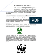 Las Organizaciones Que Protegen El Medio Ambiente