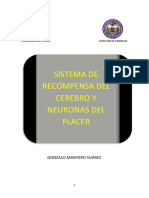 TFG Sistema de Recompensa Del Cerebro y Neuronas Del Placer (Gonzalo Mantero Suárez)