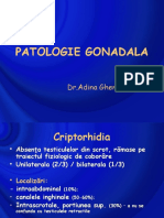 11. Patologie Gonadala 2018