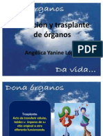 Donación y Trasplante de Órganos