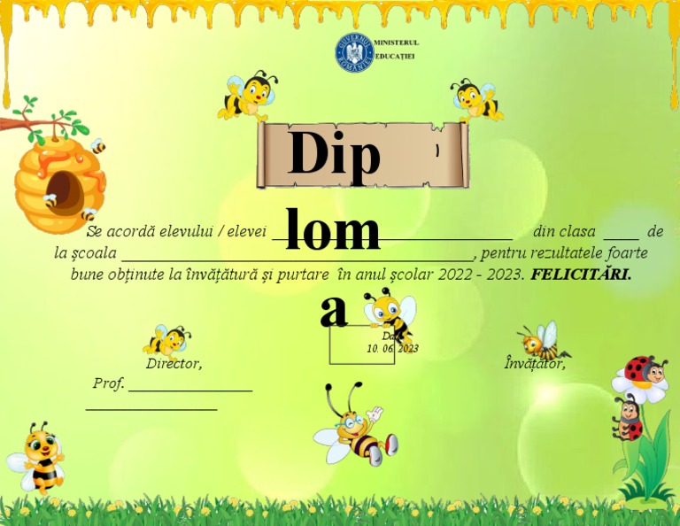 Diploma Clasele I-IV Grupa Albinute | PDF