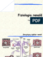 CURSUL 10. Fiziologia Rinichiului