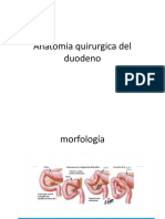 Anatomia Quirurgica Del Duodeno
