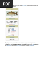 Download Ikan mas by Nugie_Siroj_593 SN61825910 doc pdf