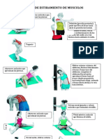 Ejercicios de Estiramiento Muscular