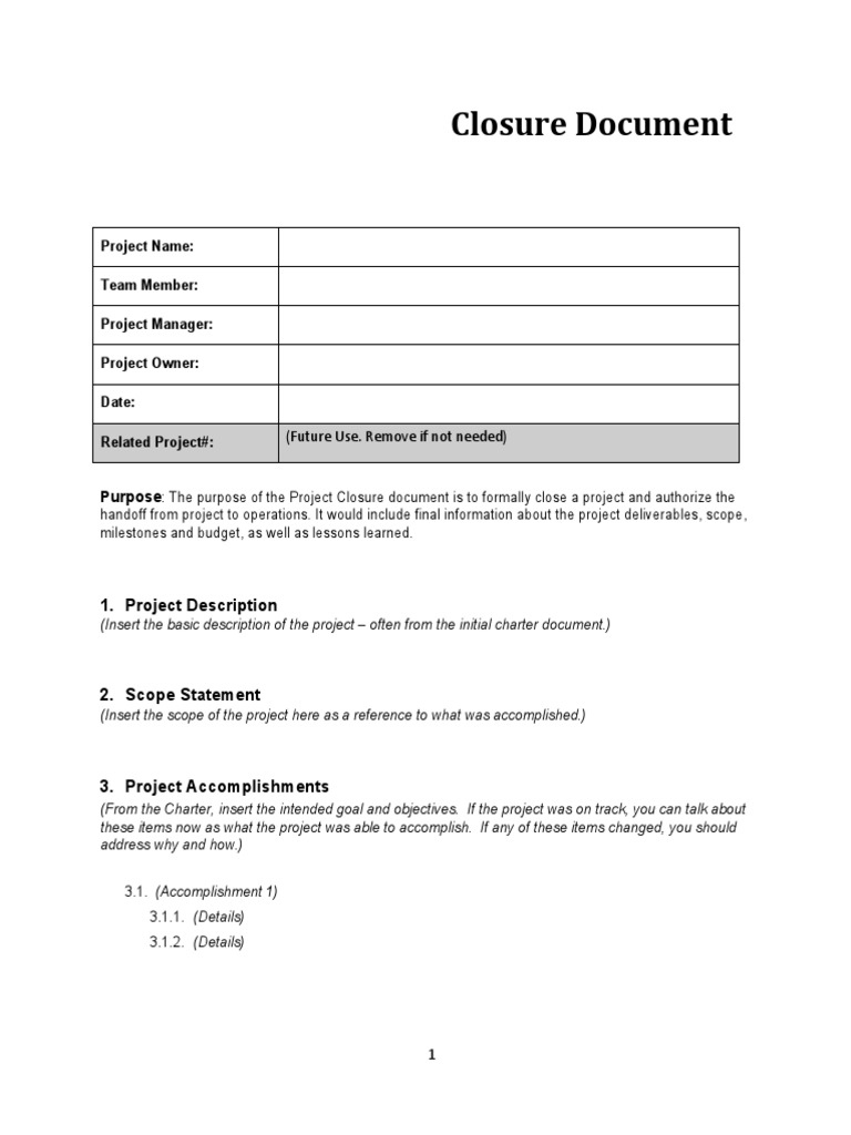 IF5200 Project Closure Template | PDF | Information Technology | Business