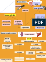 Trauma Abdominal Abierto y Cerrado (Manejo)