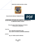 YNOFUENTE MARLENE. CONDICIONES SANITARIAS RELACIONADAS CON BACTERIASpdf