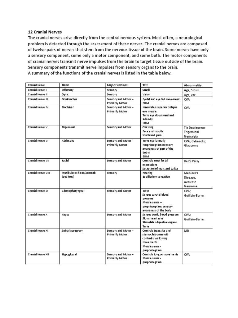 Overview of 12 Cranial Nerves | PDF | Senses | Anatomy