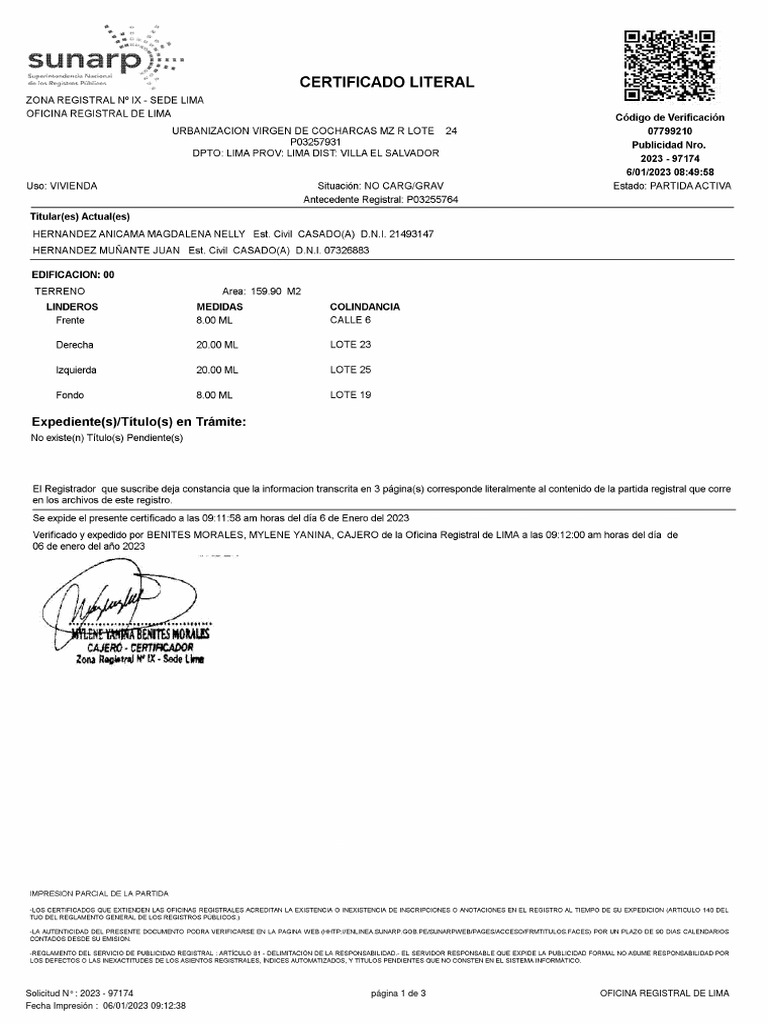 copia-literal-titulo-pdf