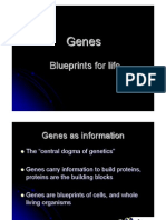 Genes Blueprint for Life