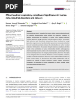 Mitochondrial Respiratory Complexes