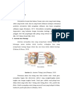 Laporan Pendahuluan Osteoarthritis