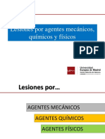 Esquema Tema 1.lesiones Por Agentes Mecánicos, Químicos y Físicos