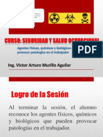 Semana 9. Agentes Fisicos, Quimicos y Biologicos